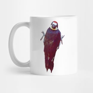 Acorn Woodpecker Looking Over It's Back Mug